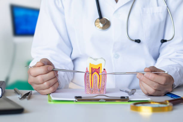 Best Weekend Emergency Dentist in Hardeeville, SC